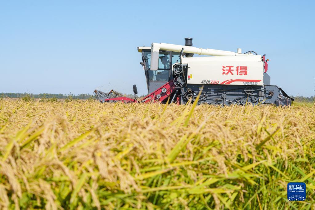 冰球突破